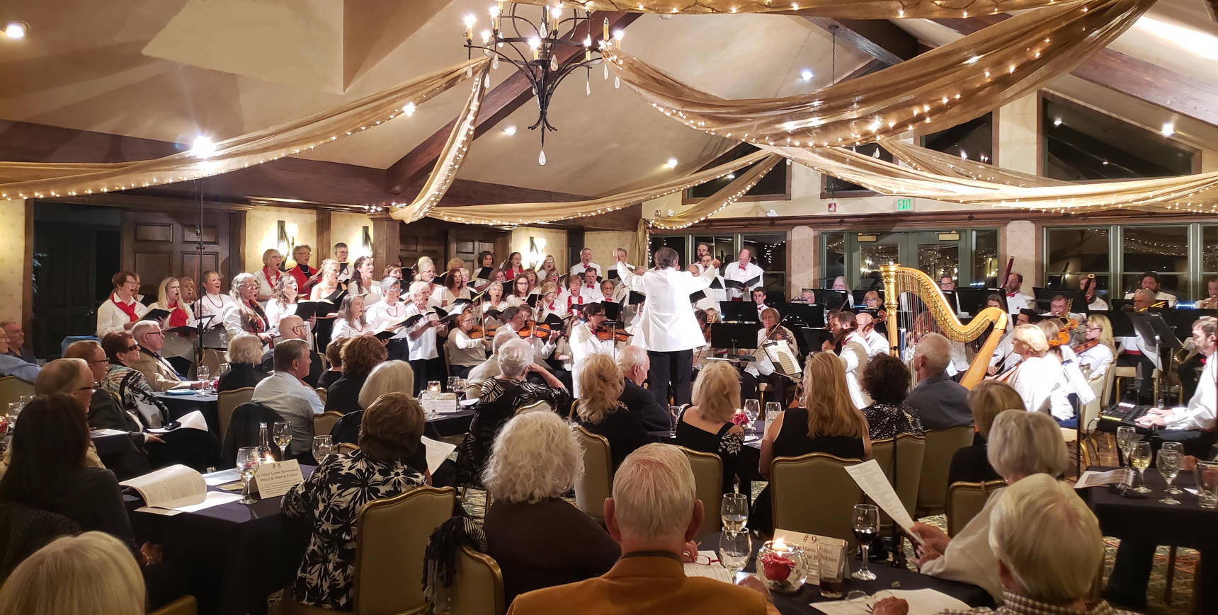 A 2019 Genoa Lakes Concert